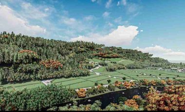 Terreno en Venta en Urbanización Privada en Mindo