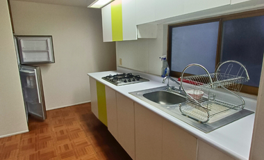 DEPARTAMENTO EN RENTA EN COLONIA PROVIDENCIA
