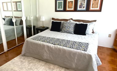 DEPARTAMENTO EN RENTA EN COLONIA PROVIDENCIA