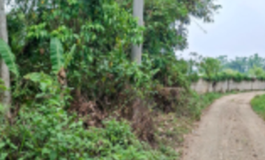 TANAH DIJUAL – KABUPATEN LEBAK