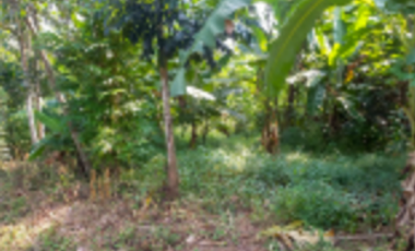 TANAH DIJUAL – KABUPATEN LEBAK