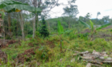 TANAH DIJUAL – KABUPATEN LEBAK