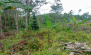 TANAH DIJUAL – KABUPATEN LEBAK