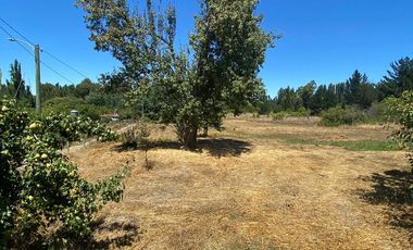 Parcela 5.000 m² + Casa 300 m² con Piscina. Colliguay - Chillán