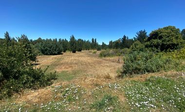 Parcela 5.000 m² + Casa 300 m² con Piscina. Colliguay - Chillán