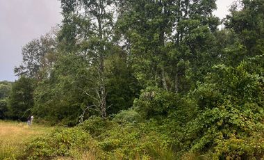 PARCELA EN SANTA ROSA Y PAILLACO