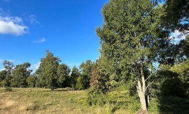 PARCELA EN SANTA ROSA Y PAILLACO