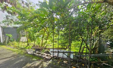 Jual Tanah Luas 135m²/1.35are Lokasi Jl Tegal Cupek Umalas Zona Kuning area Investasi Strategis