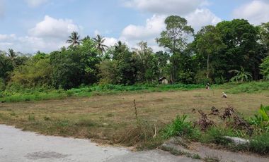 DIJUAL 4 UNIT KAVELING MURAH AREA SUKORINI, MANISRENGGO