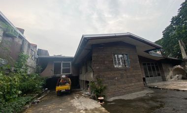 PROPERTY FOR SALE NEAR MINDANAO AVENUE