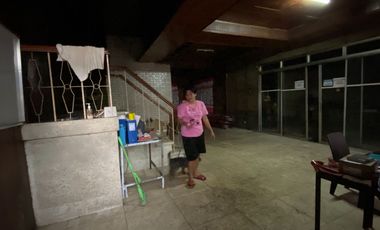 PROPERTY FOR SALE NEAR MINDANAO AVENUE