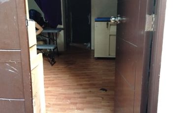 PROPERTY FOR SALE NEAR MINDANAO AVENUE