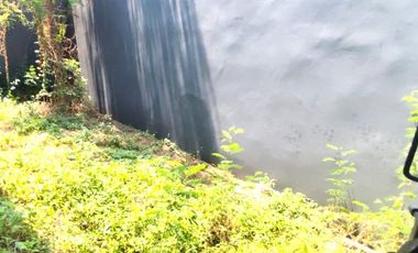 Gudang Green Sedayu Bizpark 9x25 225m Cakung Jakarta Timur