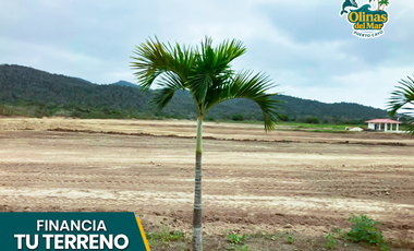 ¡¡Vendo Terrenos en la playa Puerto Cayo!! | Cuotas mensuales desde $137 a 70 meses plazo