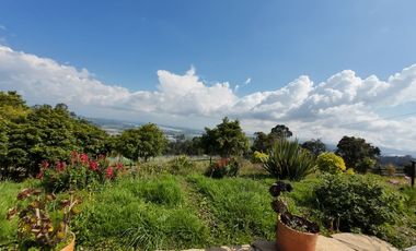 VENDO FINCA EN EL ROSAL