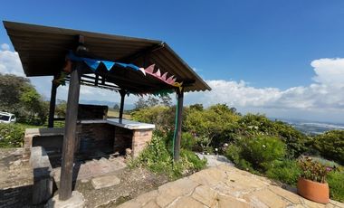 VENDO FINCA EN EL ROSAL