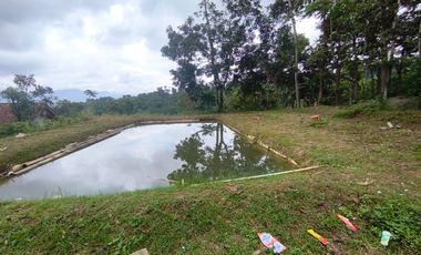 MURAH vila rumah sejuk asri  luas728/75 harga 475jt di pinggir jalan di Parakan muncang