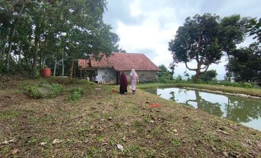 MURAH vila rumah sejuk asri  luas728/75 harga 475jt di pinggir jalan di Parakan muncang