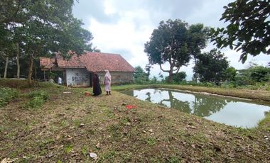 MURAH vila rumah sejuk asri  luas728/75 harga 475jt di pinggir jalan di Parakan muncang