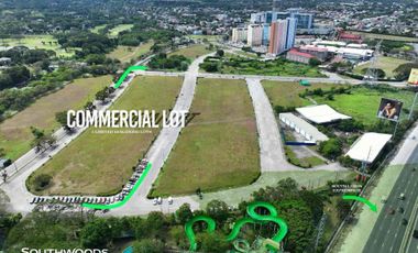 Southwoods Commercial Lot For Sale in Binan Laguna