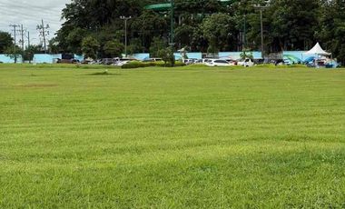 Southwoods Commercial Lot For Sale in Binan Laguna