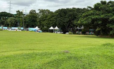 Southwoods Commercial Lot For Sale in Binan Laguna