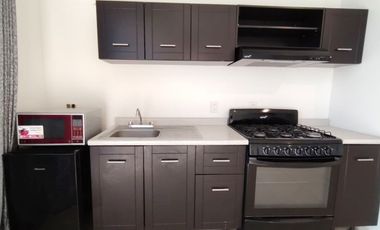 DEPARTAMENTO EN RENTA EN TORRE ADAMANT I.