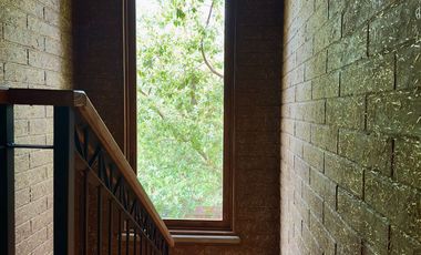 Cabaña Tapalpa Bosques de la Cañada