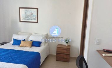 ARRIENDO AMOBLADO POR MESES CAÑAVERAL 1 ALCOBA