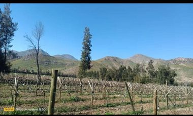 PARCELA 2500M2 LIQUIDAMOS SAN JOSE DE SAN MARTIN RINCONADA LOS ANDES