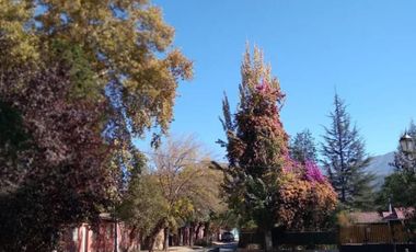 PARCELA 2500M2 LIQUIDAMOS SAN JOSE DE SAN MARTIN RINCONADA LOS ANDES