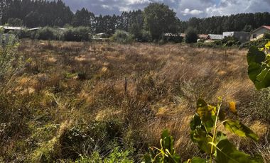 PARCELA 2500M2 LIQUIDAMOS SAN JOSE DE SAN MARTIN RINCONADA LOS ANDES