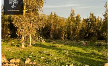 En Venta de Parcela en Codegua cerca De Santiago a 20 min de Rancagua