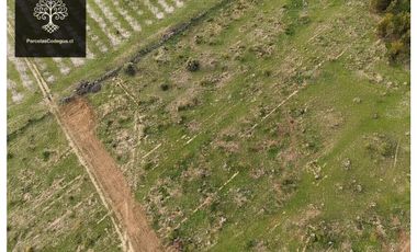 En Venta Parcelas planas con rol en La Leonera, Codegua