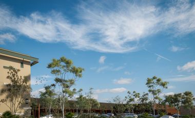 Locales comerciales en preventa sobre ave principal en Playa del Carmen