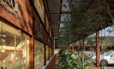 Locales comerciales en preventa sobre ave principal en Playa del Carmen