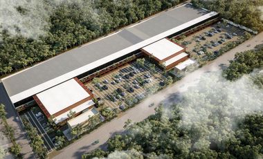 Locales comerciales en preventa sobre ave principal en Playa del Carmen