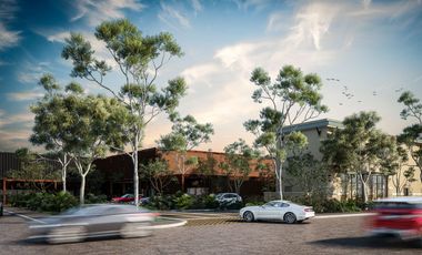 Locales comerciales en preventa sobre ave principal en Playa del Carmen