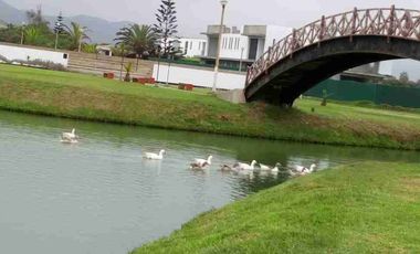 ¡¡¡OCASIÓN!!! GRAN TERRENO EN COSTA DEL CAMPO