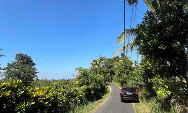 jual tanah dekat pantai balian selemadeg