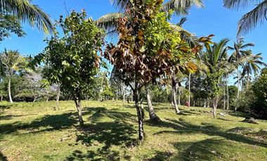 jual tanah dekat pantai balian selemadeg