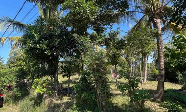 jual tanah dekat pantai balian selemadeg