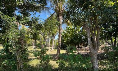 jual tanah dekat pantai balian selemadeg