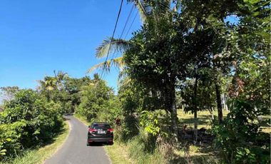 jual tanah dekat pantai balian selemadeg