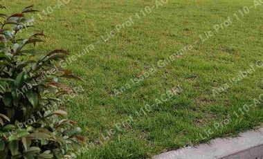 De Venta casa campestre