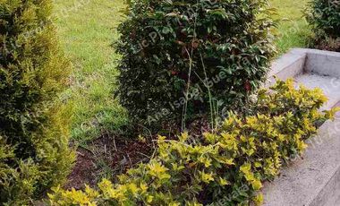 De Venta casa campestre