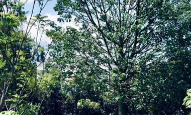 VENTA CASA NO ADOSADA PUEMBO