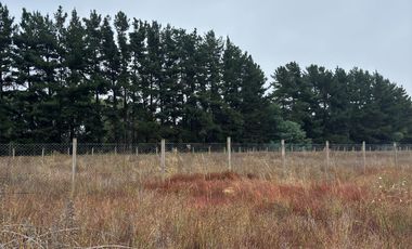 Parcela en venta km 11 Camino a Coihueco – 5.300 m² - psje Las Acacias - frente paso alejo