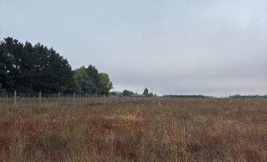 Parcela en venta km 11 Camino a Coihueco – 5.300 m² - psje Las Acacias - frente paso alejo