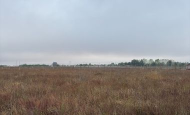 Parcela en venta km 11 Camino a Coihueco – 5.300 m² - psje Las Acacias - frente paso alejo